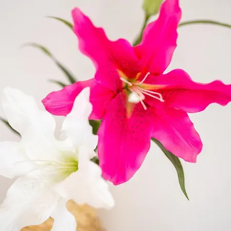 Apartment Moderne Eg-wohnung In Sudenburg Mit Parkplatz, Top Anbindung Magdeburg