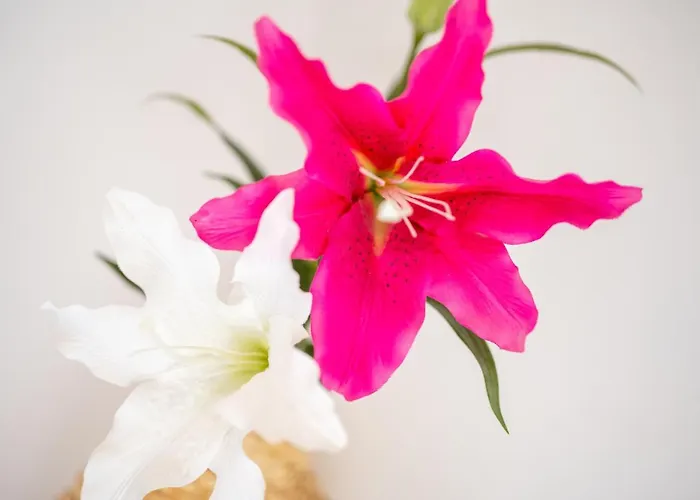 شقة Moderne Eg-wohnung In Sudenburg Mit Parkplatz, Top Anbindung ماغديبورغ