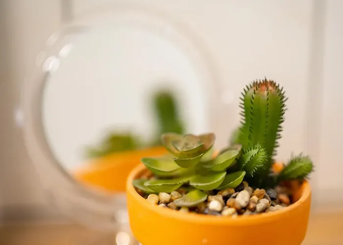 Moderne Eg-wohnung In Sudenburg Mit Parkplatz, Top Anbindung *