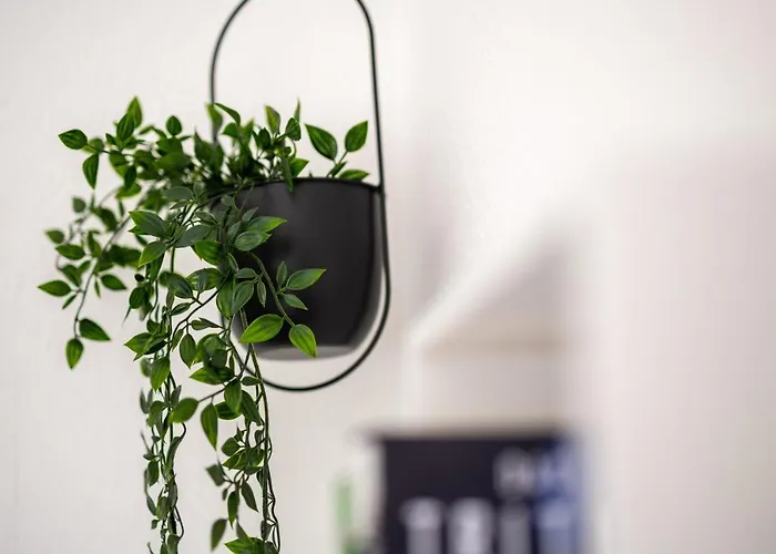 شقة Moderne Eg-wohnung In Sudenburg Mit Parkplatz, Top Anbindung ماغديبورغ